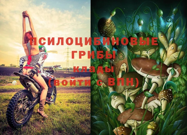 СК Приозерск