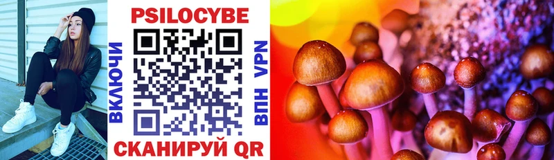 где купить наркотик  Себеж  Псилоцибиновые грибы Magic Shrooms 