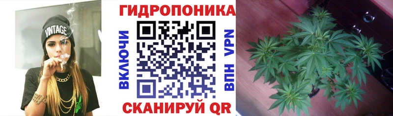Канабис планчик  Себеж 